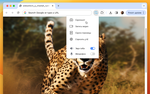 Скриншотер, Запись Экрана, ChatGPT
