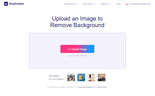 Image Background Remover - AnyEraser
