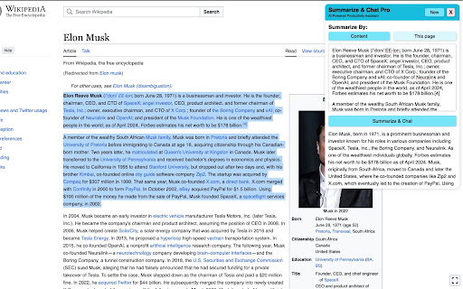 Summarize & Chat Pro - AI-Powered Productivity Assistant