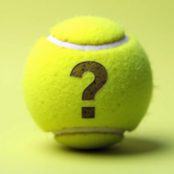 Guess The Prompt! Logo