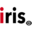 irisradgroup.com Logo