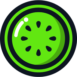 Kiwi Fitness Logo