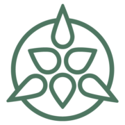 Lycaste AI Logo