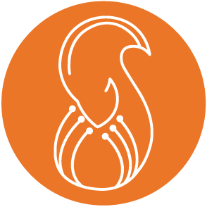 squirai.com Logo