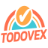 TodoVex Logo
